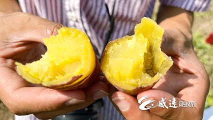 1元1斤！線上線下銷售火！威遠(yuǎn)秋季美味火爆上市！