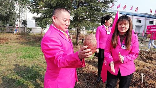 后疫情時(shí)代，薯類食品如何成為健康餐桌的“常駐嘉賓”？