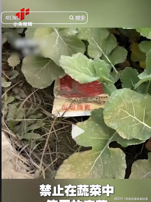 云南‘毒紅薯’事件升級 調查組介入深挖產業鏈，商戶‘主動投毒’背后的黑幕浮出水面